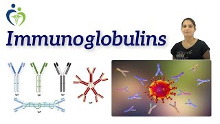 Immunoglobulins Definition Structure Types Function amp Mechanism of action [upl. by Winn]