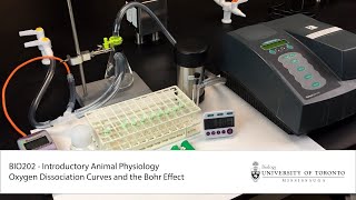 Oxygen Dissociation Effect of pH and PO2 [upl. by Rainer]