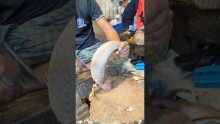 Amazing Poa Fish Cutting Skills In Bangladesh Local Fish Market shorts [upl. by Harpp]