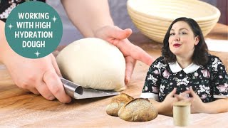 High Hydration Sourdough Top Tips for Working with it  Baker Bettie [upl. by Nowahs773]