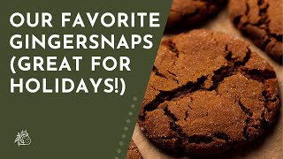 Our Favorite Gingersnap Cookies [upl. by Atnek]