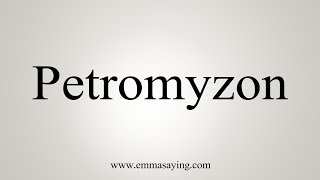 How To Say Petromyzon [upl. by Libbi957]