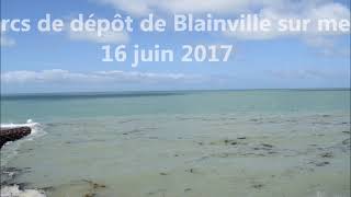 Suivi de la marée sur les parcs ostréicoles de dépôt à BlainvillesurMer le 16 juin 2017 [upl. by Vaish185]