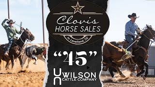 quot45quot  Wilson Cattle Co x Clovis Horse Sales [upl. by Rema666]