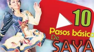 10 Pasos basicos de SAYA [upl. by Assinna]