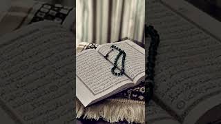 Surah tauba quran urdu translation viral trending [upl. by Vasily]