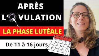 Focus sur LA PHASE LUTÉALE  Calculez la durée de votre phase lutéale et évitez une fausse couche [upl. by Rhodes]