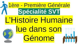 Lhistoire humaine lue dans son génome  Spécialité SVT 1ere [upl. by Nattie]