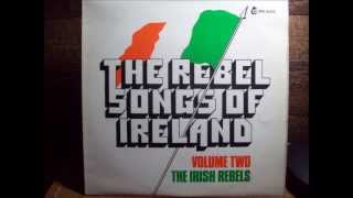 Boolavogue  The Irish Rebels [upl. by Ayila]