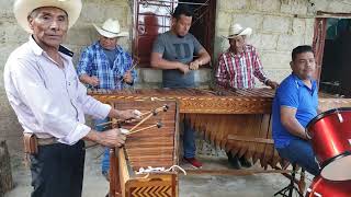 La jarrita y mi ranchito a ritmo de marimba suscribanse a nuestro canal porfas para ir subiendo más [upl. by Alburg]