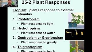 Plant Responses amp Tropisms Video 21 [upl. by Leeda]