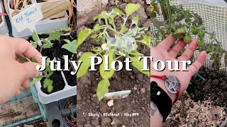 July Plot Tour amp Hacking ADHD Overwhelm ⛥ UK Allotment Vlog 19 ⛥ July 2024 ⛥ [upl. by Anwaf]