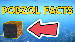 Minecraft Facts About Podzol That You Probably Didnt Know [upl. by Sarine]