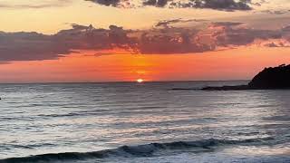 Sunrise at Terrigal Beach A man and his dog on the sand Colourful clouds [upl. by Huber]