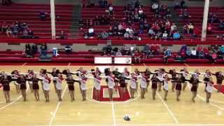 Ottawa Township High School Poms and Shepherd Middle School Poms  quotTongue Tiedquot  January 24 2015 [upl. by Attenreb925]