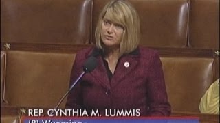 Lummis votes to reauthorize Violence Against Women Act [upl. by Denni398]