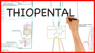 THIOPENTAL PHARMACOLOGY SERIES [upl. by Llehsad]