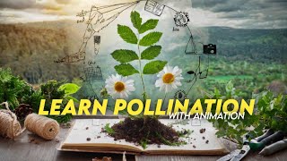 UNDERSTAND POLLINATION THROUGH ANIMATION [upl. by Lavona]