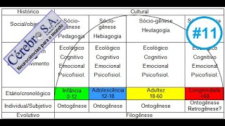 Humanos  Filogênese  Ontogênese  Sóciogênese [upl. by Itoc]