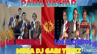 MEGA MANSEROS Y SACHEROS DJ GABI TEVEZ [upl. by Nehtan]