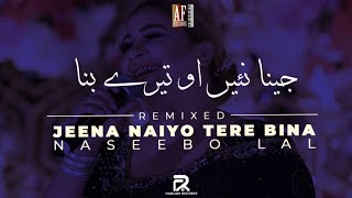 Jeena Naiyo Tere Bina  Naseebo Lal  Disco Remix  2024 [upl. by Radack942]