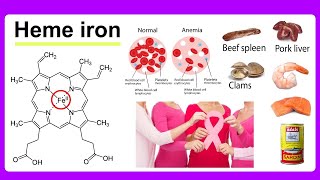 heme iron [upl. by Sreip]