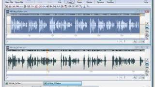 WavePad Audio Editing Software  Intro to Editing [upl. by Jc2]