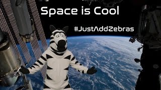 Space is Cool JustAddZebras [upl. by Memberg159]