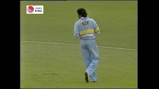 Kapil Dev bowled beautiful over to Desmond Haynes in Adelaide  Benson amp Hedges 199192 [upl. by Stagg]