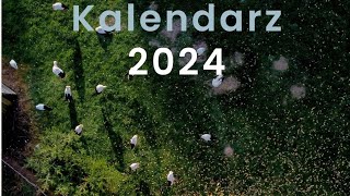 Bocianie kalendarze na 2024 rok [upl. by Doralynn]