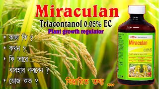 মিরাকুলানMiraculanকখন গাছে কতো মাত্রায় প্রয়োগ করবেন জেনে নিন How to use Miraculan  Best PGR [upl. by Oniuqa]