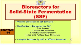 Bioreactors for SolidState Fermentation SSF  Alpha amylase production in Bioreactor  Enzyme 45 [upl. by Egbert107]