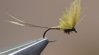 BWO Upright CDC wing SMHAEN STYLE dry fly [upl. by Sulienroc]