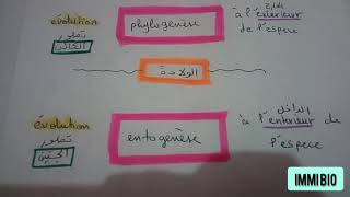 الفرق بين ontogenèse و phylogenèse [upl. by Aigil853]