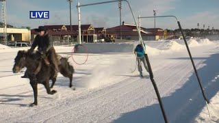 Extreme Horse Skijoring Returns To Canterbury Park [upl. by Atiuqiram]