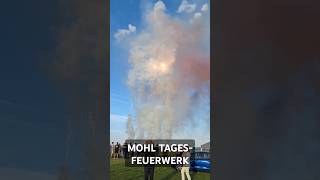 TagesFeuerwerk fireworks feuerwerk experiment vuurwerk silvester bigboom explosion shorts [upl. by Aliled]