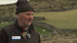 RTÉ Irish Farmer in County Kerry is missing sheep Strong accent [upl. by Caundra]