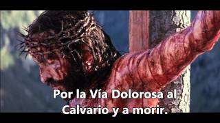 Via Dolorosa lyrics [upl. by Hackney]