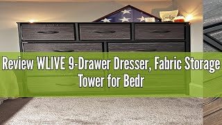 Review WLIVE 9Drawer Dresser Fabric Storage Tower for Bedroom Hallway Entryway Closet Tall Che [upl. by Alfonse]