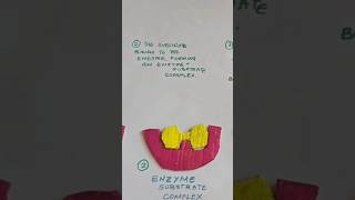 Enzyme 3D Poster [upl. by Anerdna]