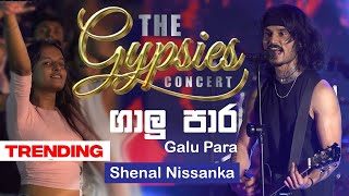 Galu Pare ගාලු පාරේ Shenal Nishshanka  The Gypsies Concert  Sunil Last Song  TRANS AV EVENTS [upl. by Ttayh]