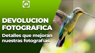 COMENTARIOS QUE AYUDAN A MEJORAR TUS FOTOS [upl. by Assirt]