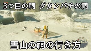 グタンバチの祠の行き方 雪山ルート【ゼルダの伝説 ティアキン】 [upl. by Murdocca]