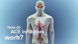 How do ACE inhibitors work [upl. by Maddi]