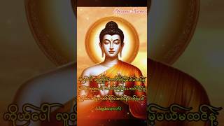 တရား dhamma တရားတော် တရားတော်များတရားတော်များ2024 ပါချုပ် [upl. by Hum]