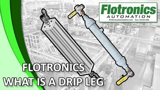 Flotronics  What Is A Drip Leg [upl. by Derrek]