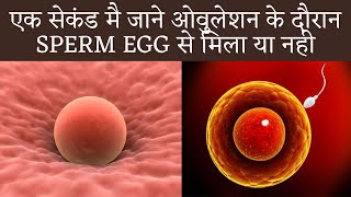 Egg and Sperm Meet symptoms  Egg fertilized signs and symptoms in hindi [upl. by Walton737]