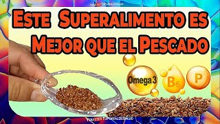 No es Salmón El Superalimento que Tiene 5 Veces Más Omega 3 y Todos lo Pueden Comer [upl. by Aitahs]