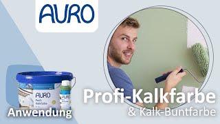 AURO Anwendung Kalkfarben und KalkBuntfarben [upl. by Yuria]