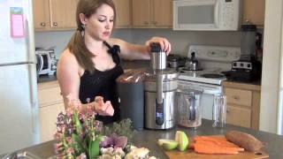 Juicer Review on the Breville Variable Speed Juicer [upl. by Han]